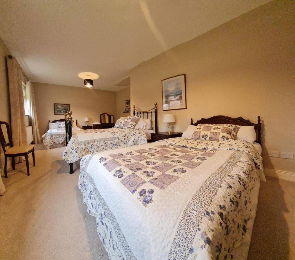 Yellow Heights Country House Tinahely Εξωτερικό φωτογραφία